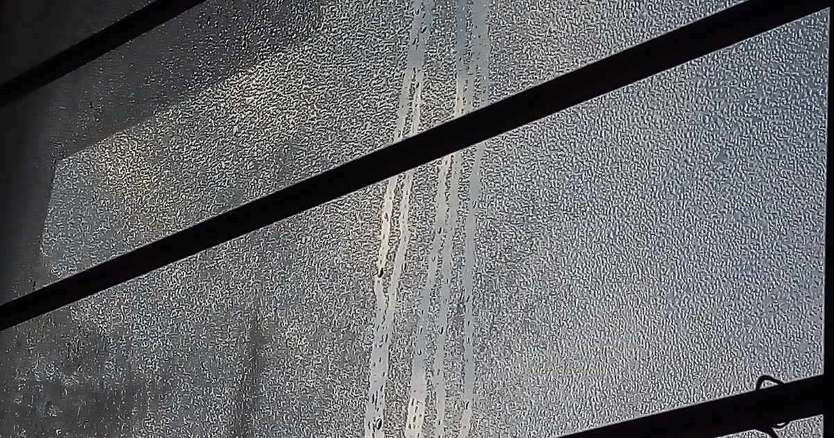 Damp and mold at home: why they appear in the fall and how to really get rid of them