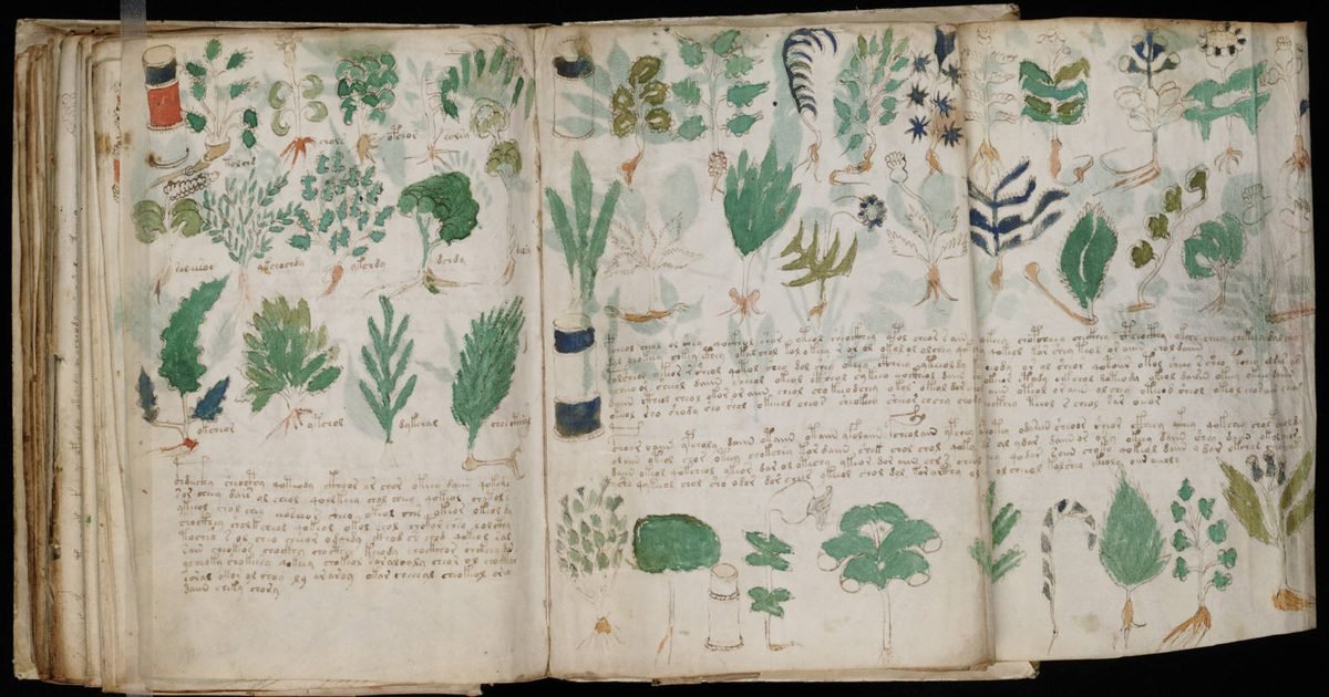 The Voynich manuscript: the 600-year-old book no one has managed to read
