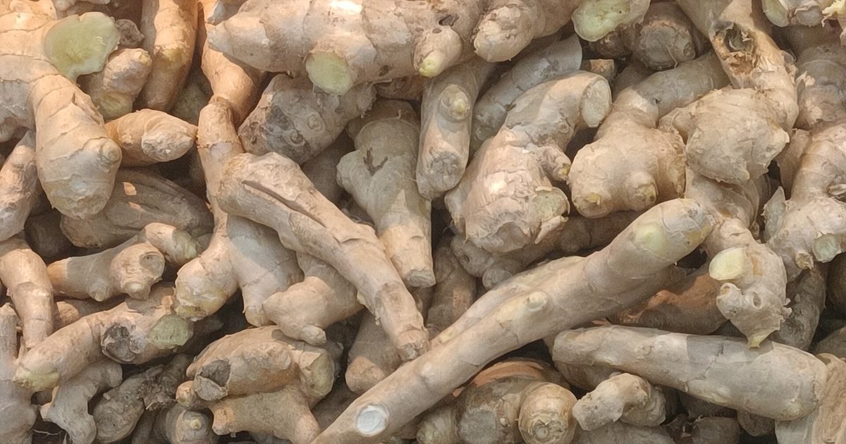 Ginger for nausea: what the evidence says and how to use it safely