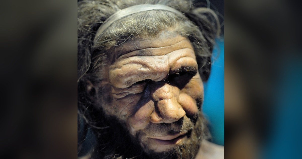 Lo mataron de un lanzazo al corazón hace 75.000 años, pero antes alguien lo cuidó: el neandertal que revela nuestro lado más humano