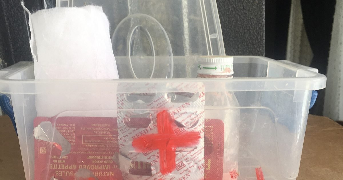 How to check your home medicine cabinet in 15 minutes: expiry dates, storage and the essentials