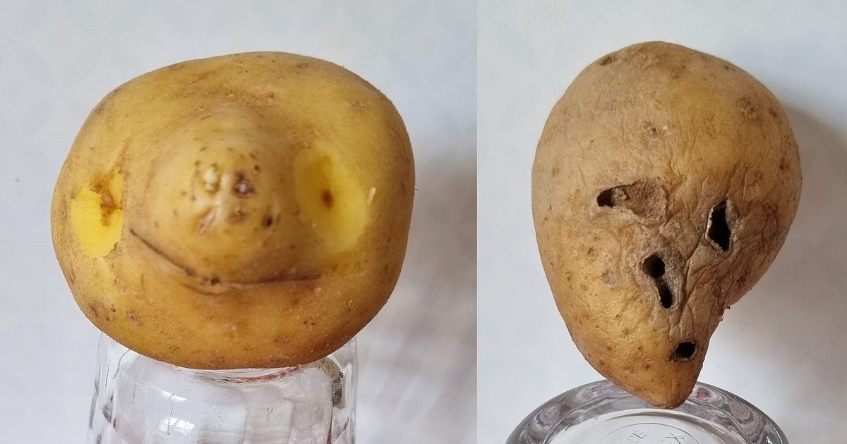 Do you see faces in outlets, clouds and toast? You're not imagining things: it's called pareidolia, and your brain does it on purpose