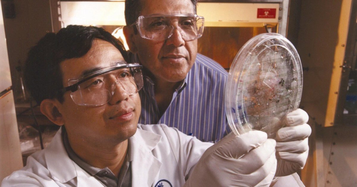 Párkinson: Japón hizo el primer trasplante de neuronas creadas con células iPS tras aprobar la terapia